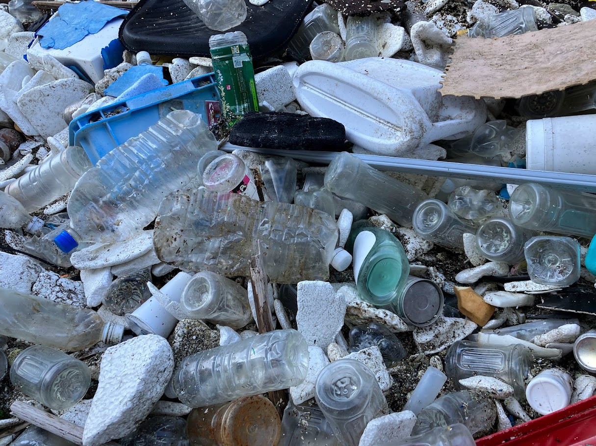 使い捨てプラスチック　ペットボトル　海ごみ