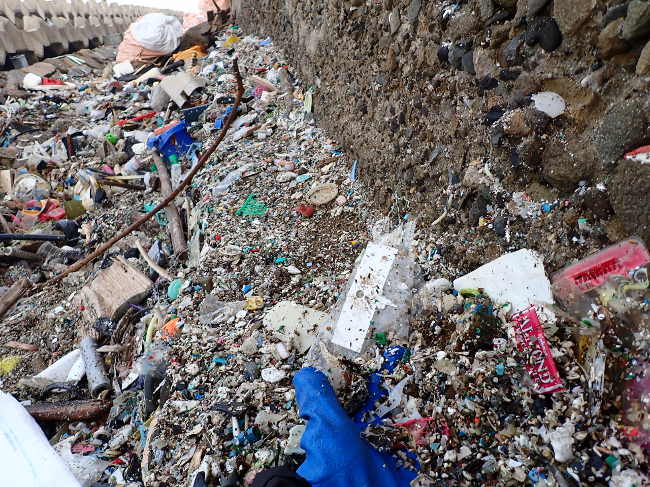 マイクロプラスチック　海ごみホットスポットクリーンアップ　香川