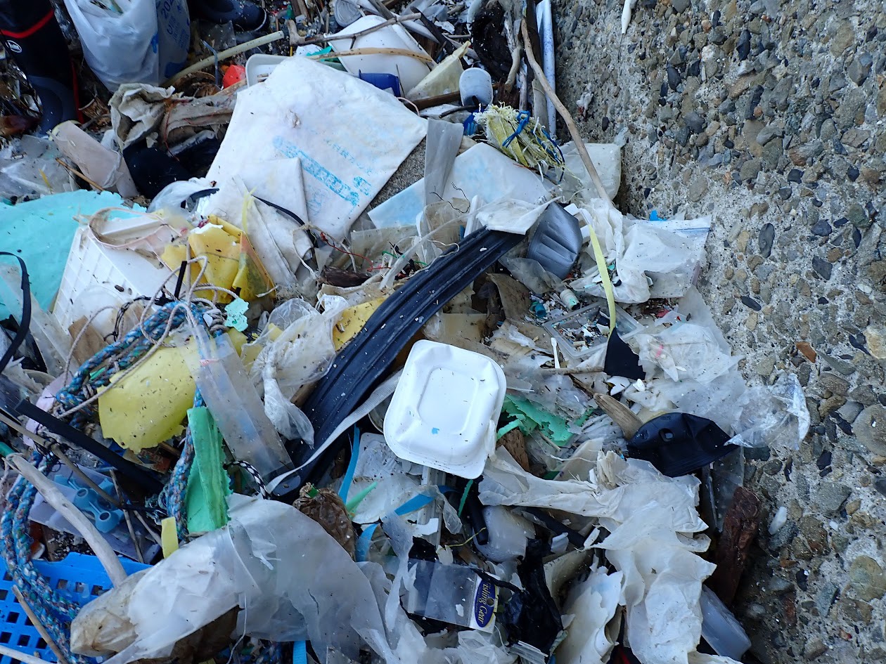 使い捨てプラスチック　海ごみ